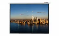 Экран Lumien Master Control LMC-101118