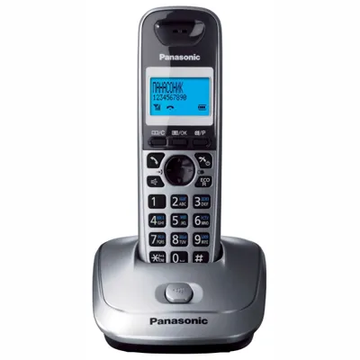 Телефон DECT Panasonic KX-TG2511RUM, серый металлик