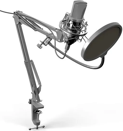 Микрофон Ritmix RDM-169 черный